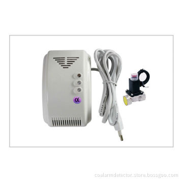 90 - 240vac Carbon Monoxide And Gas Detector / Portable Gas Detector Lyd-706dv Ce